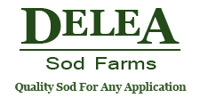 Delea Sod Farms