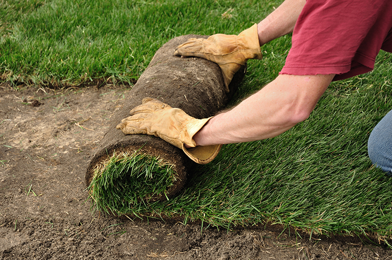 Make These Important Considerations Before You Get Your Sod Installed!